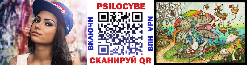 hydra   сколько стоит  Владимир  Псилоцибиновые грибы ЛСД 