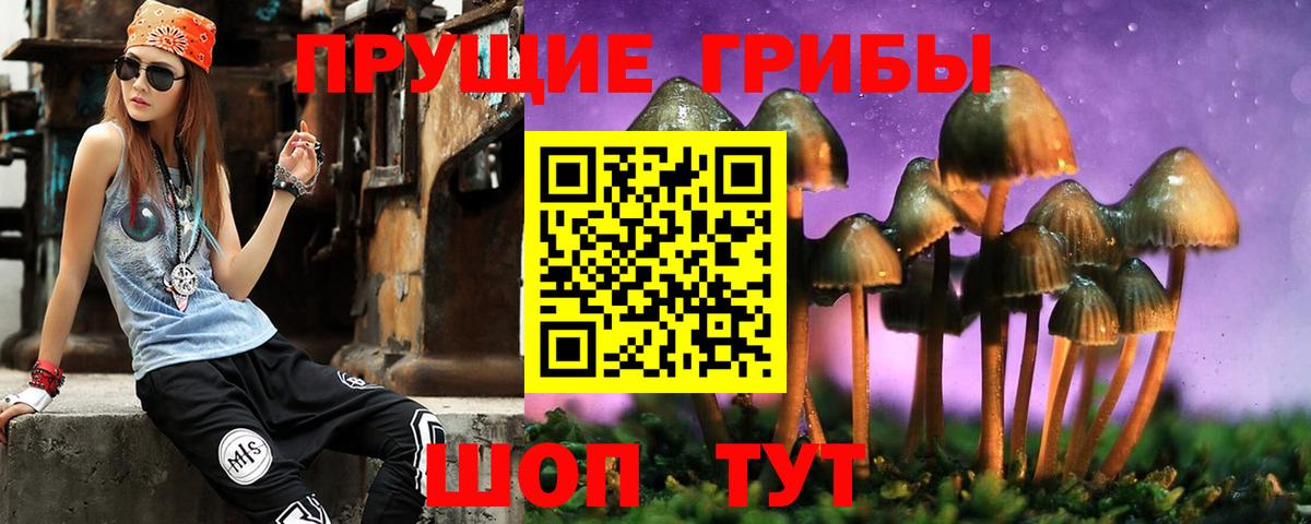 Галлюциногенные грибы MAGIC MUSHROOMS Владимир