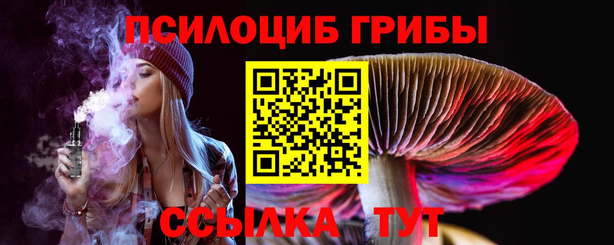 Владимир  Псилоцибиновые грибы мицелий  Вход с VPN 
